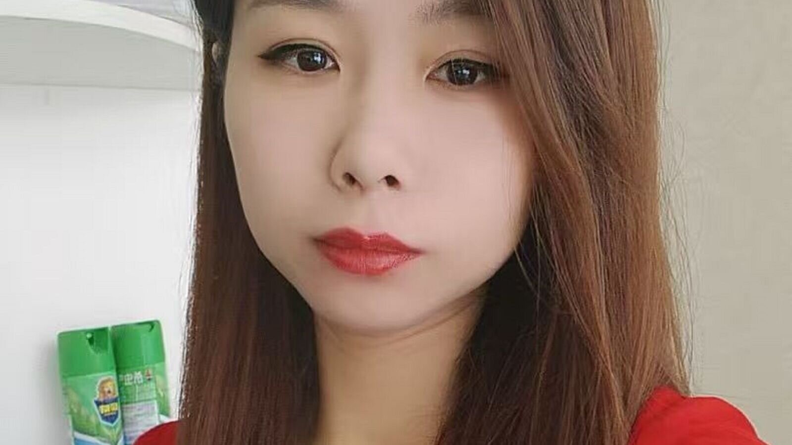 BericeZhangJing