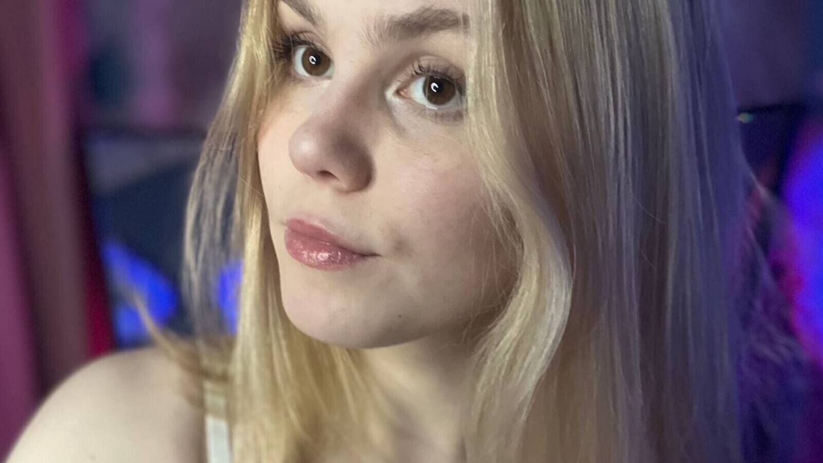 MeddyFox